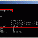 dhcp1